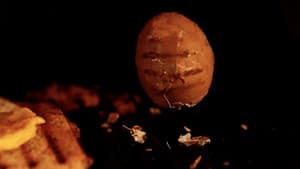 28 Eggs Later — foto 2