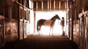 A Horse from Heaven — foto 1