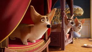 Corgi: Un perro real — foto 4