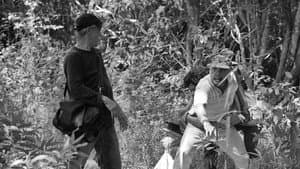 Lahi, Hayop — foto 3