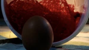 28 Eggs Later — foto 5