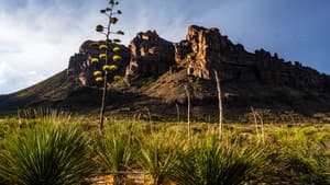 Parques Nacionales de Estados Unidos — foto 8