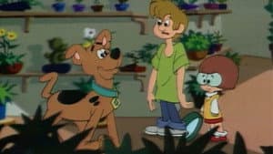 Episodio 13