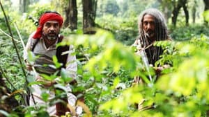 शेरदिल: द पीलीभीत सागा — foto 3