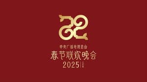 2025年中央广播电视总台春节联欢晚会 — foto 1