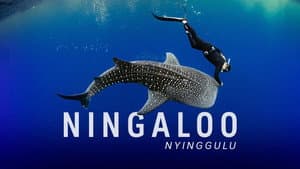 Ningaloo: la maravilla oceánica de Australia — foto 3