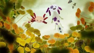 The Axolotls — foto 1