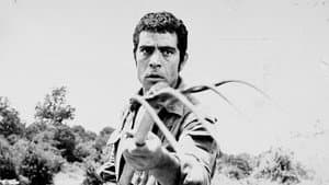 رشید — foto 1