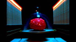My Dead Wife's New Brain — foto 1