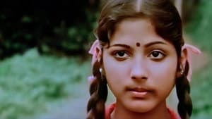 ലോറി — foto 3