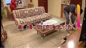 Episodio 3203