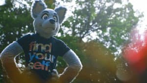 Fursonas — foto 3
