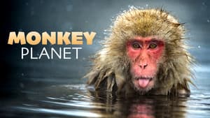 Monkey Planet — foto 6