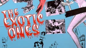 The Exotic Ones — foto 3