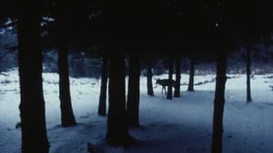 Landscape Suicide — foto 5