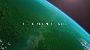 Planeta Verde — foto 10