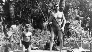 Tarzán y las amazonas — foto 1