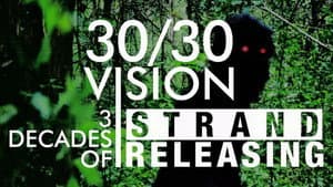 30/30 Vision: Three Decades of Strand Releasing — foto 5