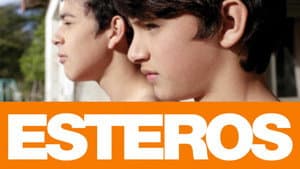 Esteros — foto 1