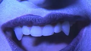 Vampire Time Travelers — foto 3