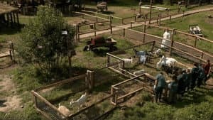 Episodio 6