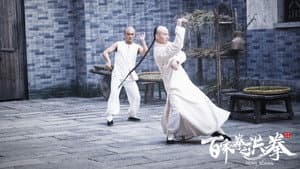 百家拳之洪拳 — foto 1