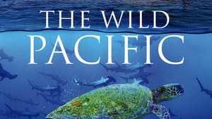 The Wild Pacific — foto 2