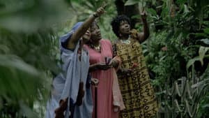 L'INDIGOTIER ou la descente des jumelles — foto 1