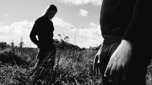 The Meadow — foto 1