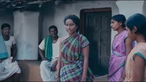 ତୁଳସୀ ଅପା — foto 1