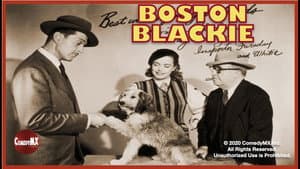 Boston Blackie — foto 1