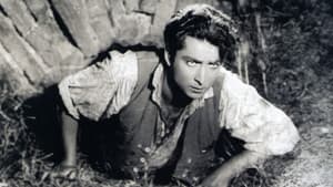 Černý plamen — foto 1