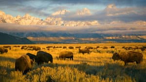 America's National Parks — foto 2