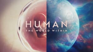 Cuerpo humano: Un mundo entrañable — foto 2