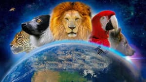 Wonderful World 3D — foto 1