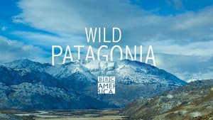 Patagonia Salvaje — foto 3