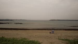 짐작보다 따뜻하게 — foto 1