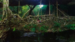 For Tomorrow - the Documentary — foto 1
