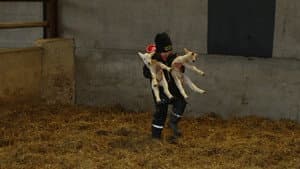 Episodio 7
