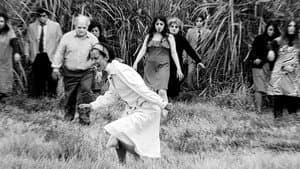 Zombies en el cañaveral: el documental — foto 5