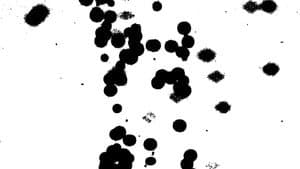 Emanazione dell’Uno — foto 3