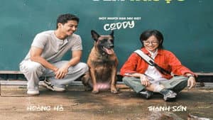 Đồng hồ đếm ngược — foto 3