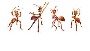 Ant Bully: Las aventuras de Lucas — foto 9