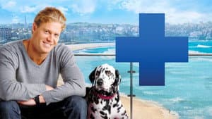 Bondi Vet — foto 2