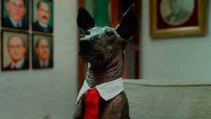 Una Película de Amor y Guerra — foto 4