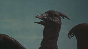 Rodan — foto 6