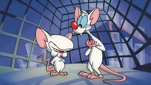 Pinky y Cerebro — foto 1