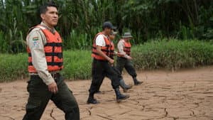 Tigre Gente — foto 1
