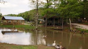 The Little Ponderosa Zoo — foto 1