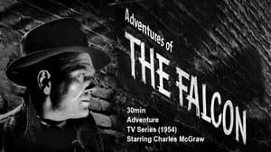 Adventures Of The Falcon — foto 1